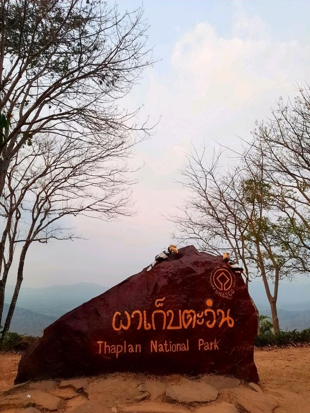 กางเต็นท์ นอนดูดาว สัมผัสลมหนาว ที่อุทยานแห่งชาติทับลาน @วังน้ำเขียว