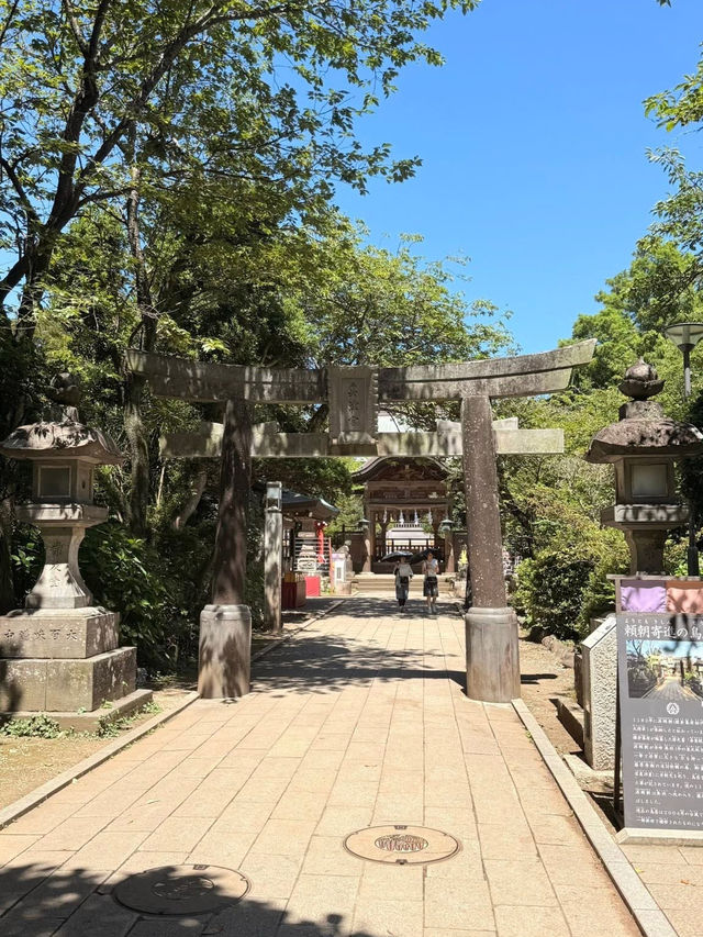 🌊 Solo Adventure: Enoshima Iwaya Caves – Where Legends Live Under the Sea Cliffs