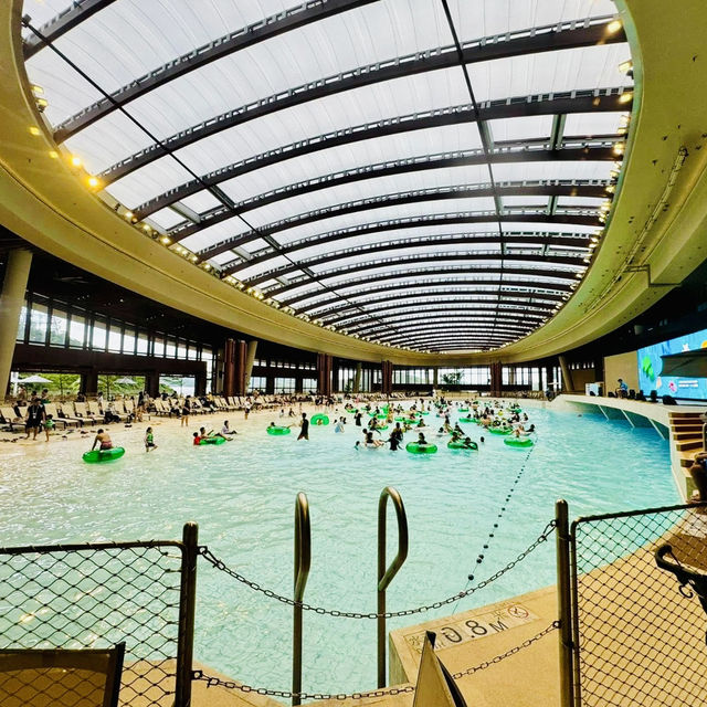 Ocean Park Water World: Hong Kong’s Splashy Playground