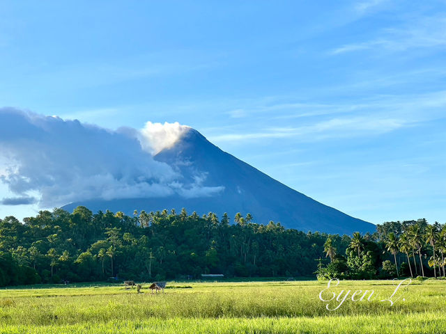 Cone shape Mayon Volcano