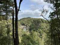 紐西蘭旅遊景點—💦 Hunua Falls｜奧克蘭後山的森林瀑布美景