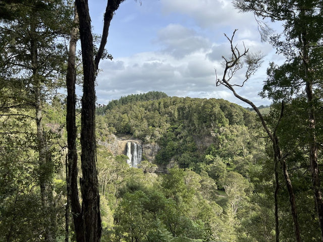 紐西蘭旅遊景點—💦 Hunua Falls｜奧克蘭後山的森林瀑布美景