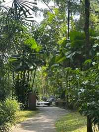 Oasis Garden: KL’s Hidden Haven of Peace and Greenery