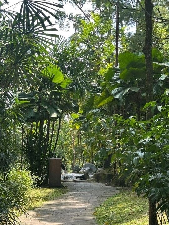 Oasis Garden: KL’s Hidden Haven of Peace and Greenery