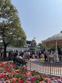 夏日炎炎暢遊迪士尼