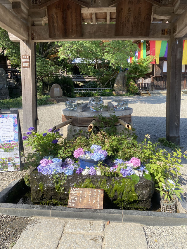 Chofu, Tokyo 1 day trip