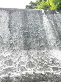 Nature Moments at Villa Escudero