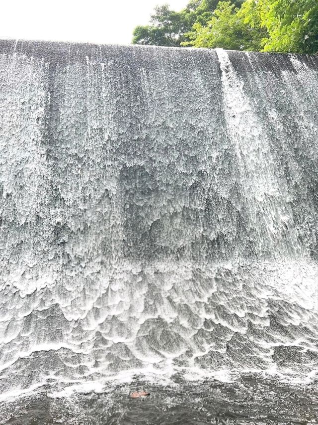 Nature Moments at Villa Escudero