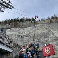 นั่งรถไฟชมธารน้ำแข็งMontenvers-Mer de Glace