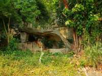 Get Wild at Khao Kheow Open Zoo