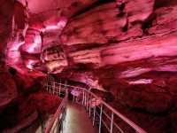 Caves & Forest Vibes