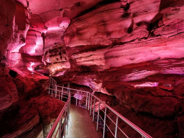 Caves & Forest Vibes