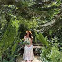 🍋🌿 คาเฟ่ลับๆเขาใหญ่ Lecino Backyard Cafe