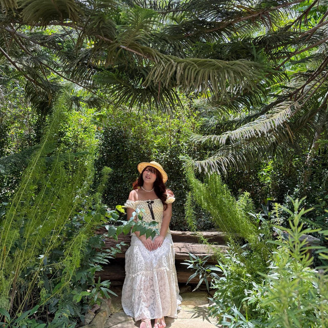 🍋🌿 คาเฟ่ลับๆเขาใหญ่ Lecino Backyard Cafe