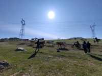Kanas Journey: Scenery Along the Way