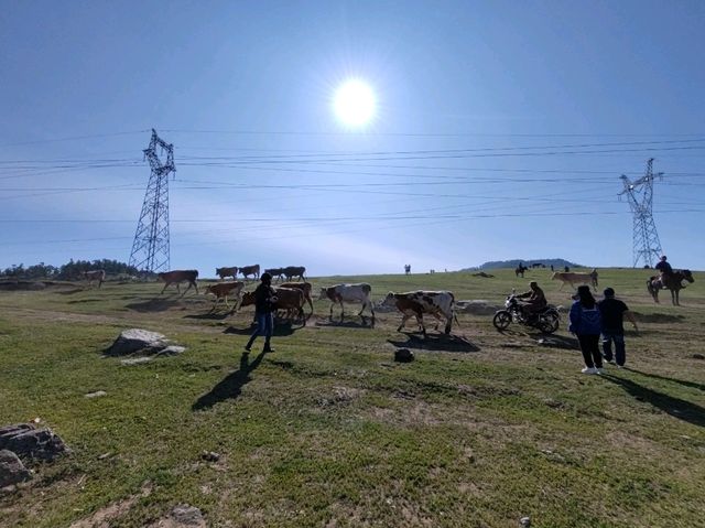 Kanas Journey: Scenery Along the Way