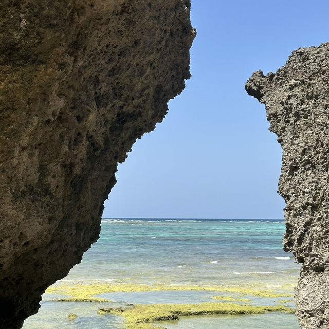 Café with a View - Okinawa’s Scenic BANTA Café 🫧