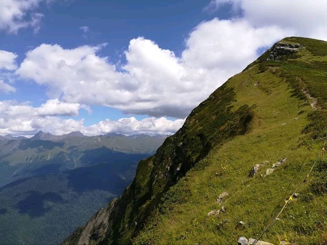 Sky High Walks at the Top of the World