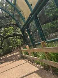 Houston Zoo