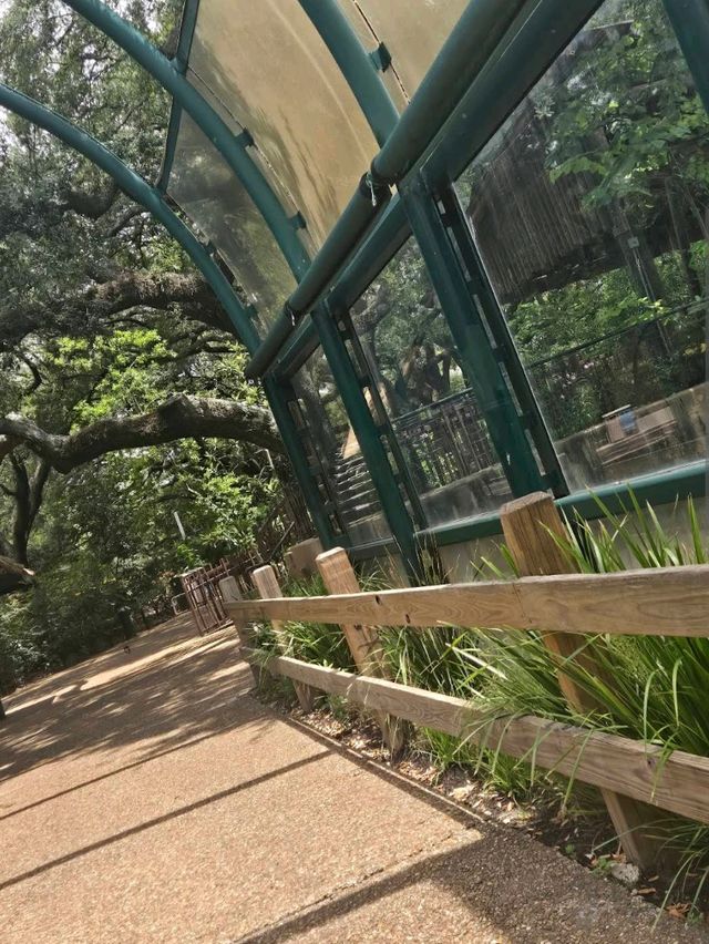 Houston Zoo
