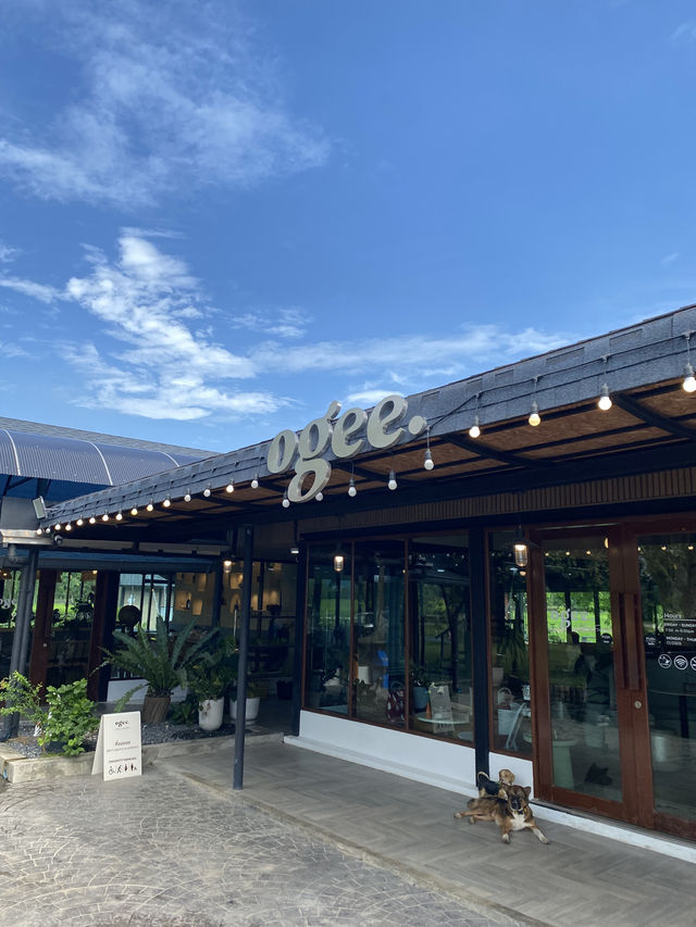 Ogee Coffee Space