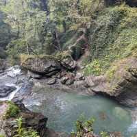 Forest Trails & Waterfall Feels