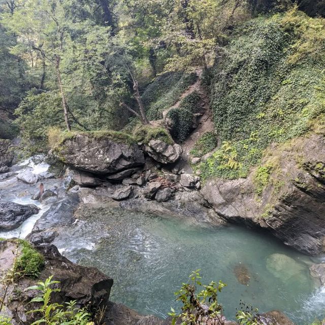 Forest Trails & Waterfall Feels