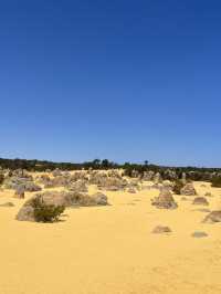 🪨 Pinnacles Desert – Western Australia’s Alien Landscape 🌌🛸