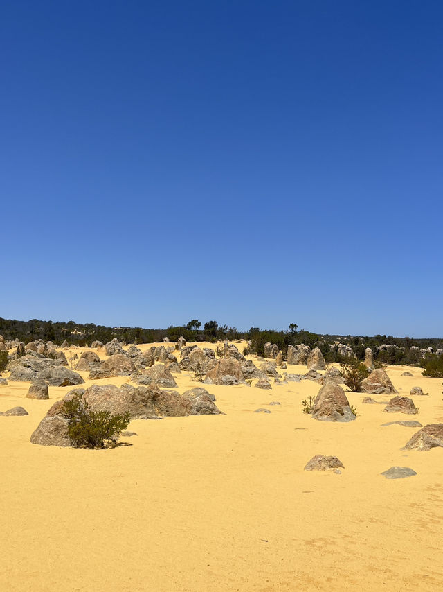 🪨 Pinnacles Desert – Western Australia’s Alien Landscape 🌌🛸