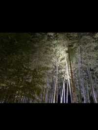 【竹林の小径】風が奏でる癒しの音🎋嵐山で心ほどけるひととき