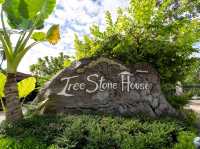 Tree Stone House