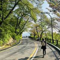 🇰🇷 How to spend 28 days in Seoul