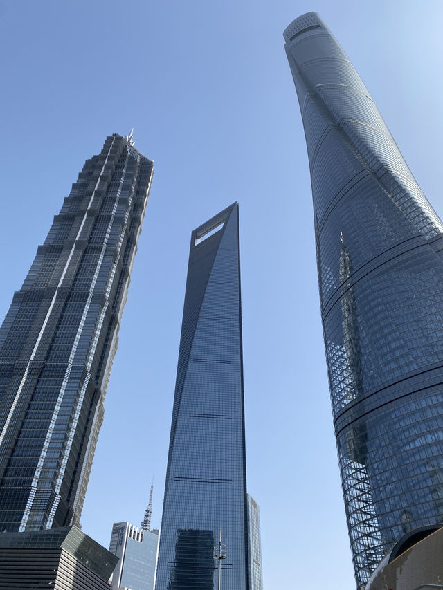 Shanghai Duoyun Bookstore - above the clouds!