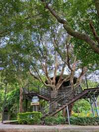 🌳奧爾森林學堂 藏身都市裡的森林教室:貓頭鷹樹屋、恐龍樂園、親子自然冒險一日遊!