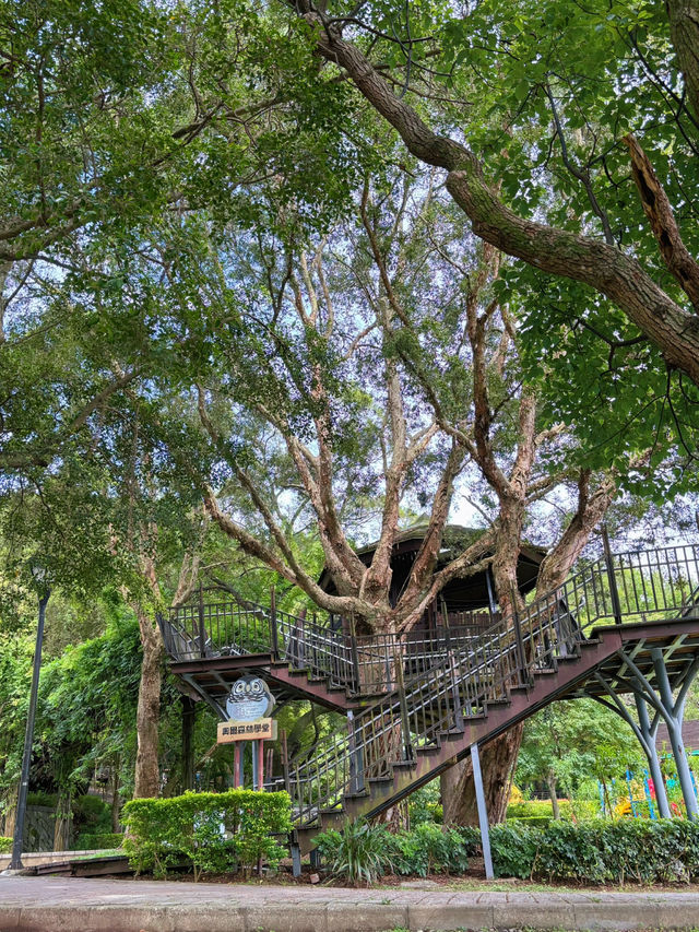 🌳奧爾森林學堂 藏身都市裡的森林教室:貓頭鷹樹屋、恐龍樂園、親子自然冒險一日遊! 🌳奧爾森林學堂 藏身都市裡的森林教室:貓頭鷹樹屋、恐龍樂園、親子自然冒險一日遊!