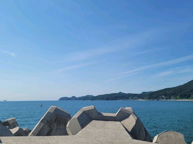 여수 오동도 산책