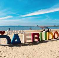 🌊🚲 *Ansan Daebudo Island: Seoul’s Secret Seaside Escape* 🌾🌉
