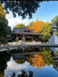 【水前寺成趣園】心がすっと整う、熊本の癒し庭園🌿