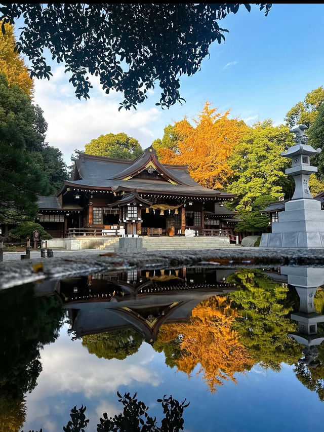 【水前寺成趣園】心がすっと整う、熊本の癒し庭園🌿