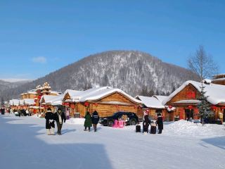 Snow Town: A Winter Fairy Tale