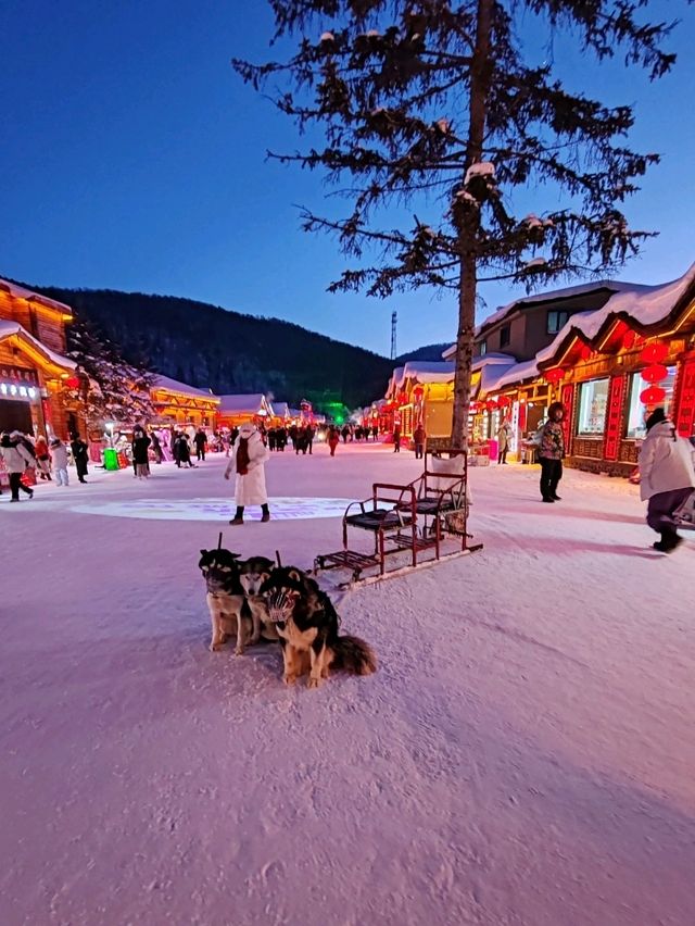 Snow Town Nights: A Luminous Winter Fairytale