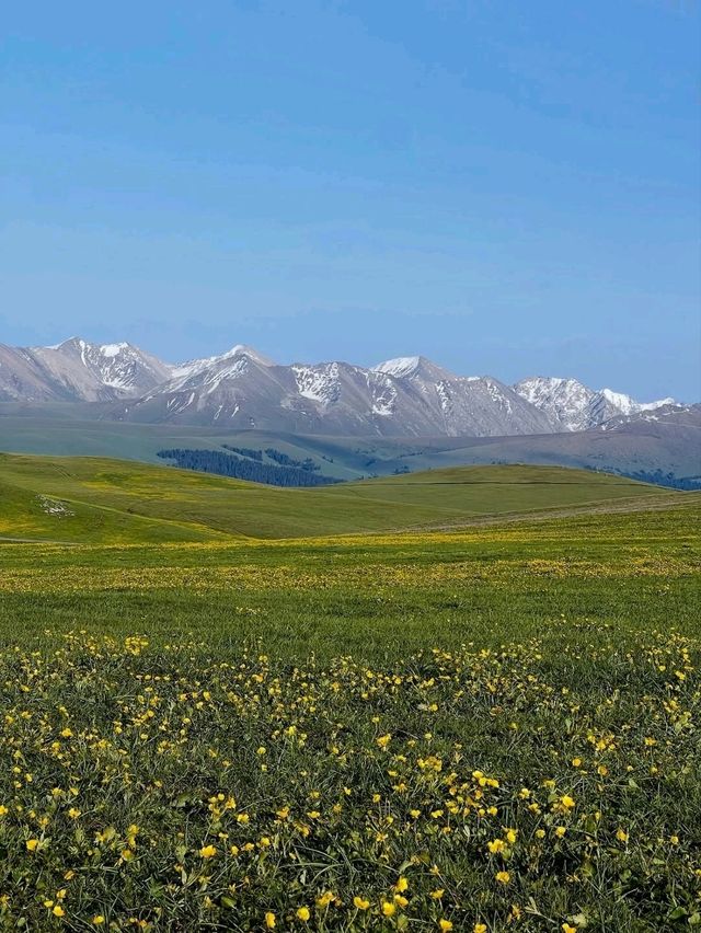 Kalajun in Xinjiang, Rolling Hills and Peaceful Feels