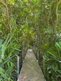 ชมธรรมชาติ ที่FLORA EXHIBITION HALLL 