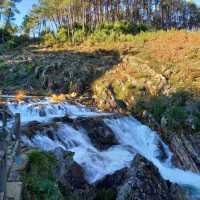 Hidden Pools and Forest Feels at Pozo do Arco