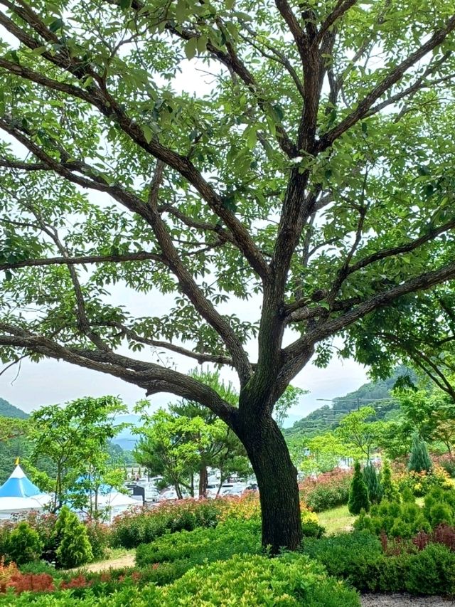 여름 산책의 청량한 기분