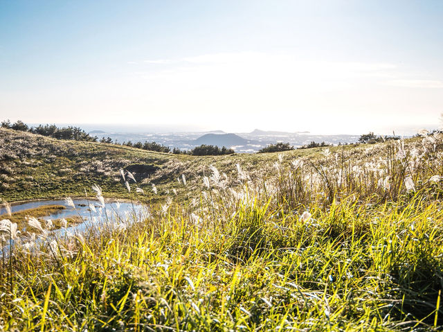 하늘을 걷는 순간, 제주에서 인생샷 날리다 🌾🏔