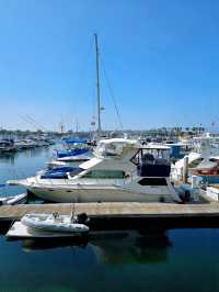 🐳 San Diego Whale Watching – A Scenic Cruise, But Manage Your Expectations