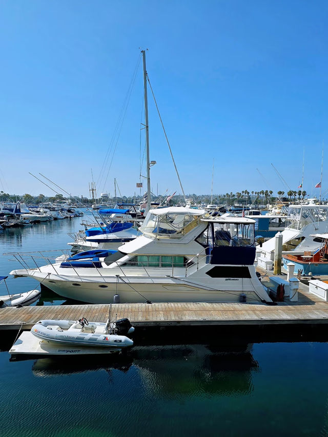 🐳 San Diego Whale Watching – A Scenic Cruise, But Manage Your Expectations