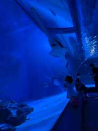 Sea Life Bangkok Ocean World จ.กรุงเทพฯ