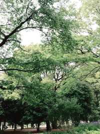 🌿呼吸が整う公園と、おしゃれカフェで始める朝 — 代々木公園と外苑前で過ごす穏やかな時間